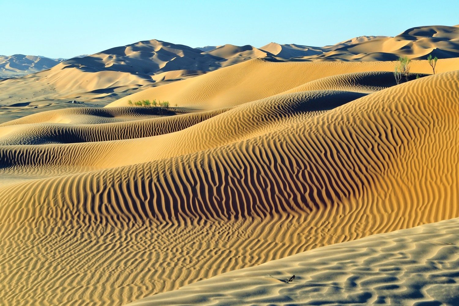 Выставка «Фотосюжеты из путешествий» в галерее «Листок» – события на сайте «Московские Сезоны»