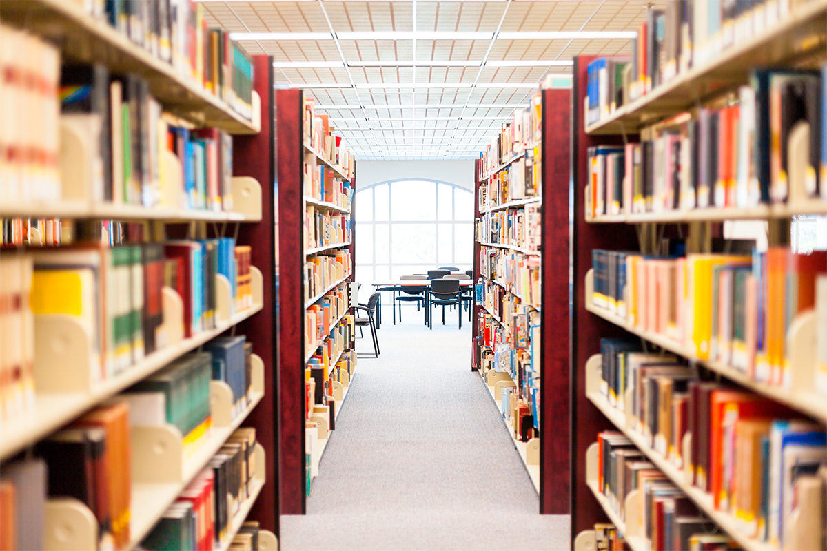 Виртуальная экскурсия по району Митино в библиотеке № 233 – события на сайте «Московские Сезоны»