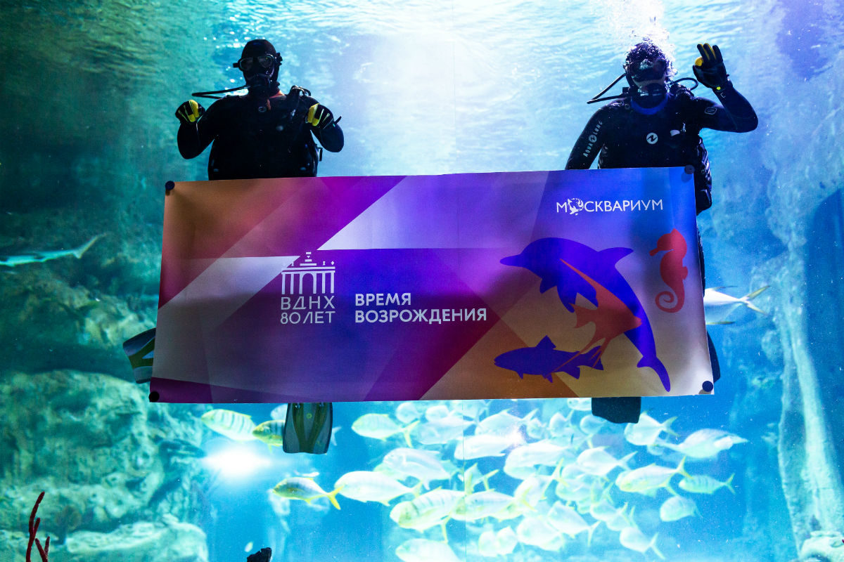 День рождения «Москвариума» на ВДНХ – события на сайте «Московские Сезоны»
