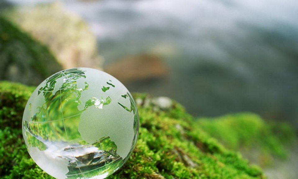 Смена в лагере «Экологическая экспедиция» В ДК «Берендей» – события на сайте «Московские Сезоны»