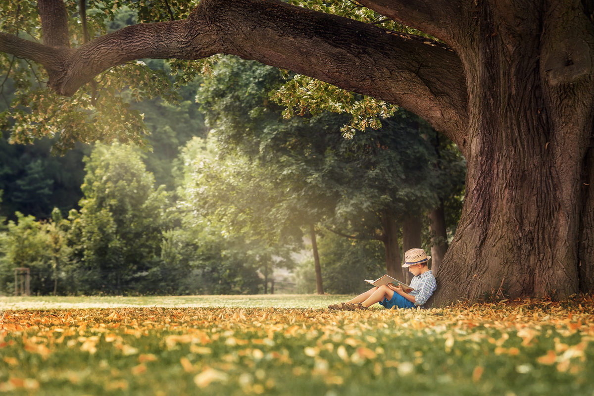 Литературный вечер «В уме своем он создал мир иной» в детской библиотеке № 231 – события на сайте «Московские Сезоны»
