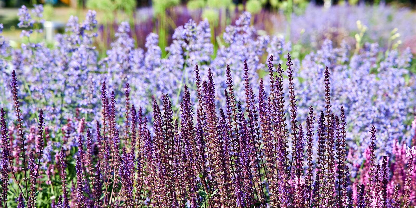 Экологическая акция «Как прекрасен этот мир» в библиотеке № 258 – события на сайте «Московские Сезоны»