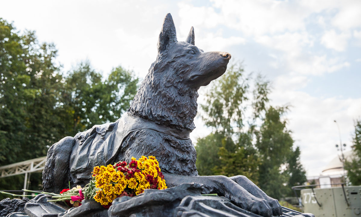 День фронтовой собаки в Музее Победы – события на сайте «Московские Сезоны»