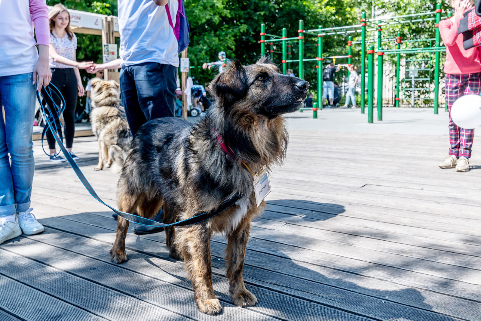 «Друг для друга» в саду имени Баумана – события на сайте «Московские Сезоны»