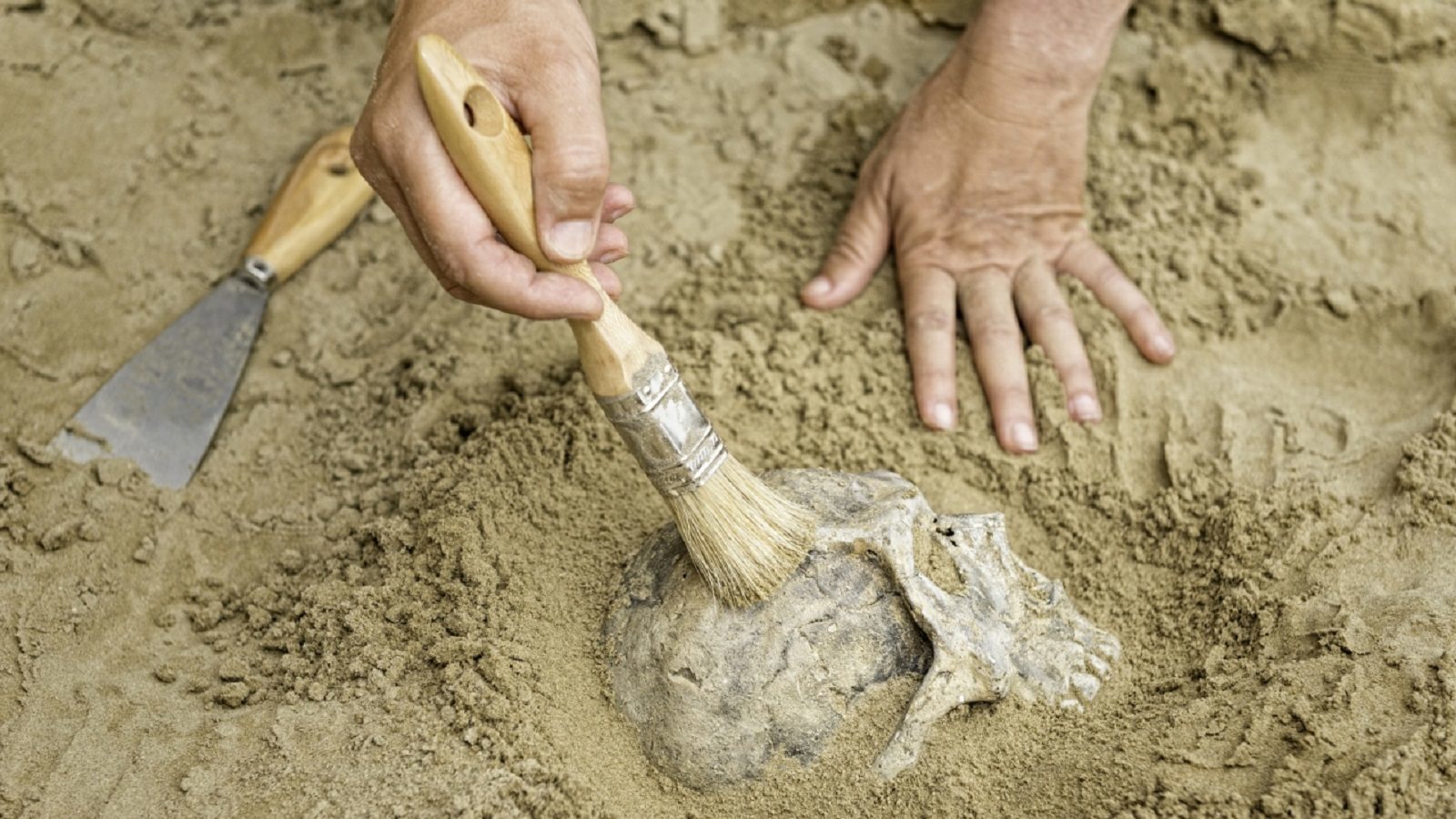 День археолога в ДК «Берендей» – события на сайте «Московские Сезоны»