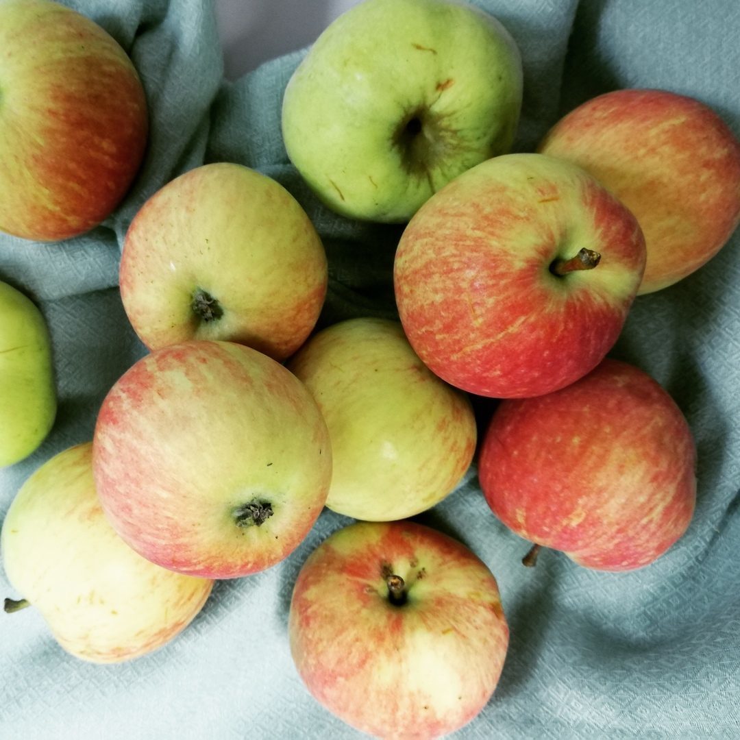 Развлекательная программа «Наливные яблочки» в Серебряном бору – события на сайте «Московские Сезоны»