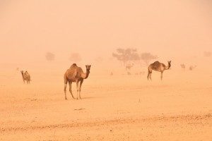 Творческая встреча с фотографом Жоржем Азра в галерее «Листок» – события на сайте «Московские Сезоны»