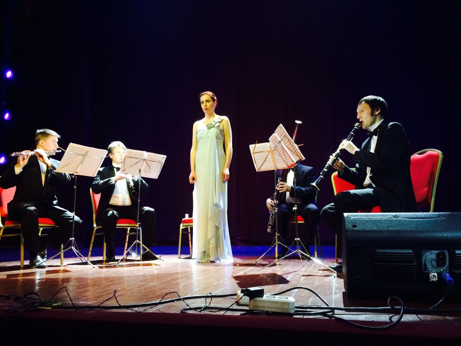 Концерт «Русская музыка в дворянских усадьбах» в музее-усадьбе «Остафьево» – события на сайте «Московские Сезоны»