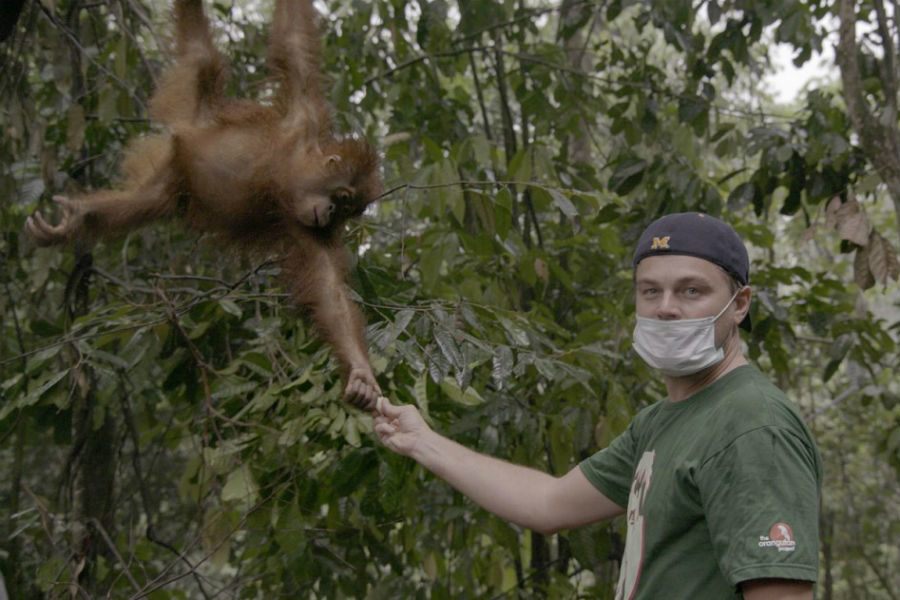 Неделя документального кино на большом экране ЦДП – события на сайте «Московские Сезоны»