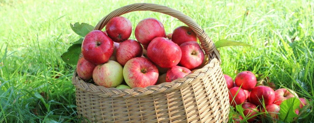 Фестиваль #ПокаЛето в парке «Зарядье» – события на сайте «Московские Сезоны»