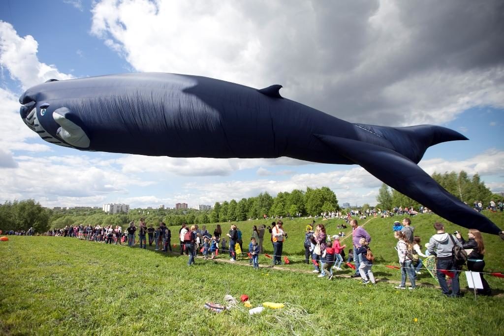 Фестиваль воздушных змеев «Пестрое небо» в музее-заповеднике «Царицыно» – события на сайте «Московские Сезоны»
