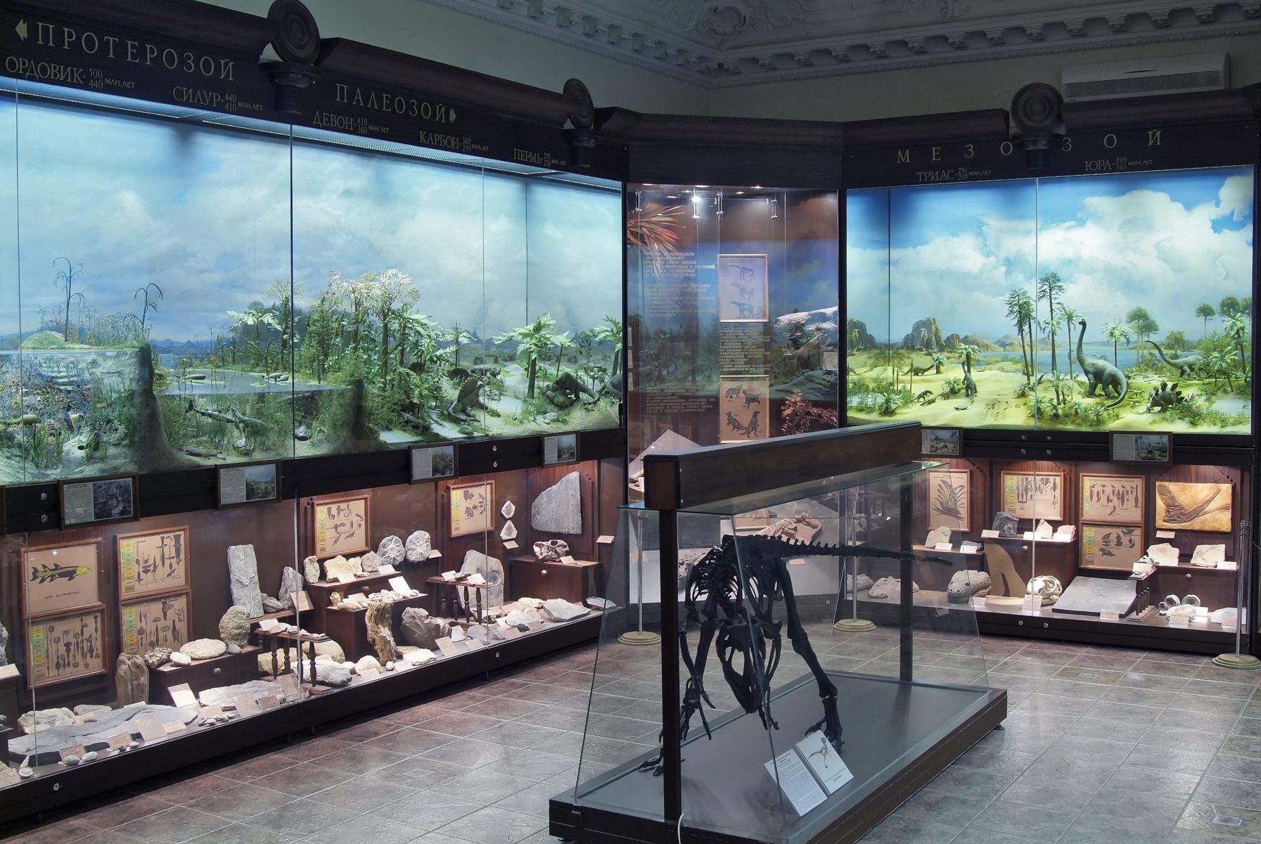 Праздничная программа «Миллион лет до Москвы» в Биологическом музеее – события на сайте «Московские Сезоны»