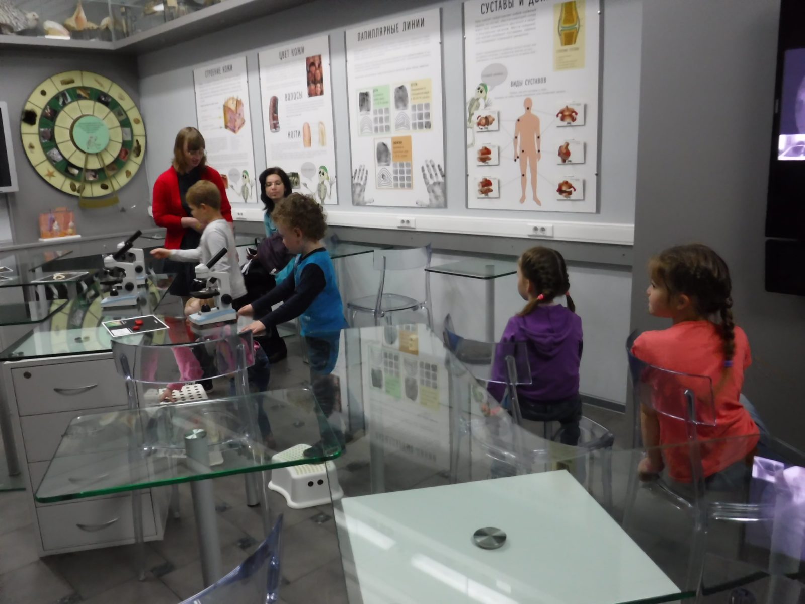 Цикл занятий «Как я провёл лето» в Биологическом музее – события на сайте «Московские Сезоны»