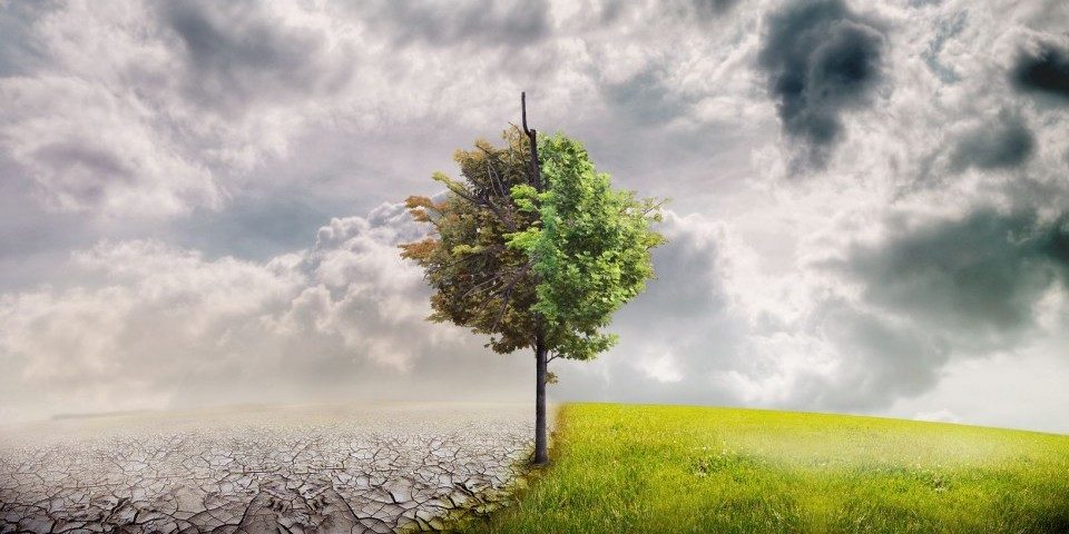 Лекция «Один в поле воин: лицом к лицу с климатическим кризисом»  в Библиотеке иностранной литературы – события на сайте «Московские Сезоны»