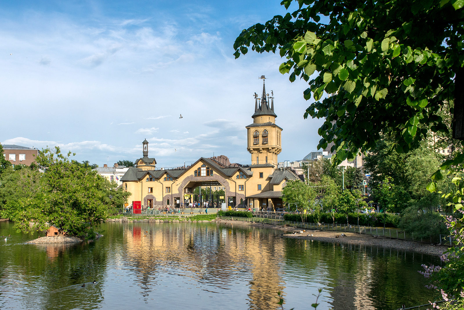 День города в Московском зоопарке – события на сайте «Московские Сезоны»