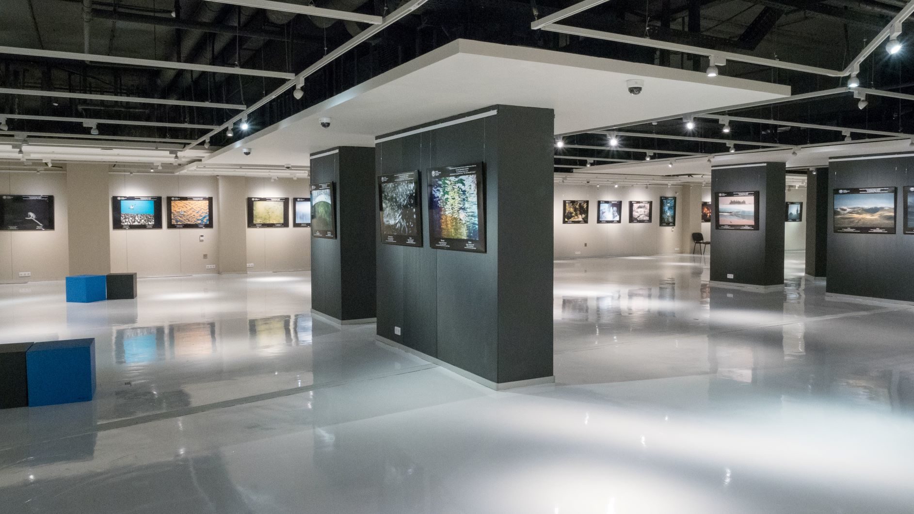 Выставка «В поисках начала» в парке «Зарядье» – события на сайте «Московские Сезоны»