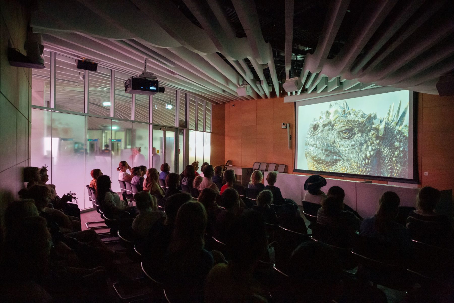 Фестиваль уличного кино в парке «Зарядье» – события на сайте «Московские Сезоны»