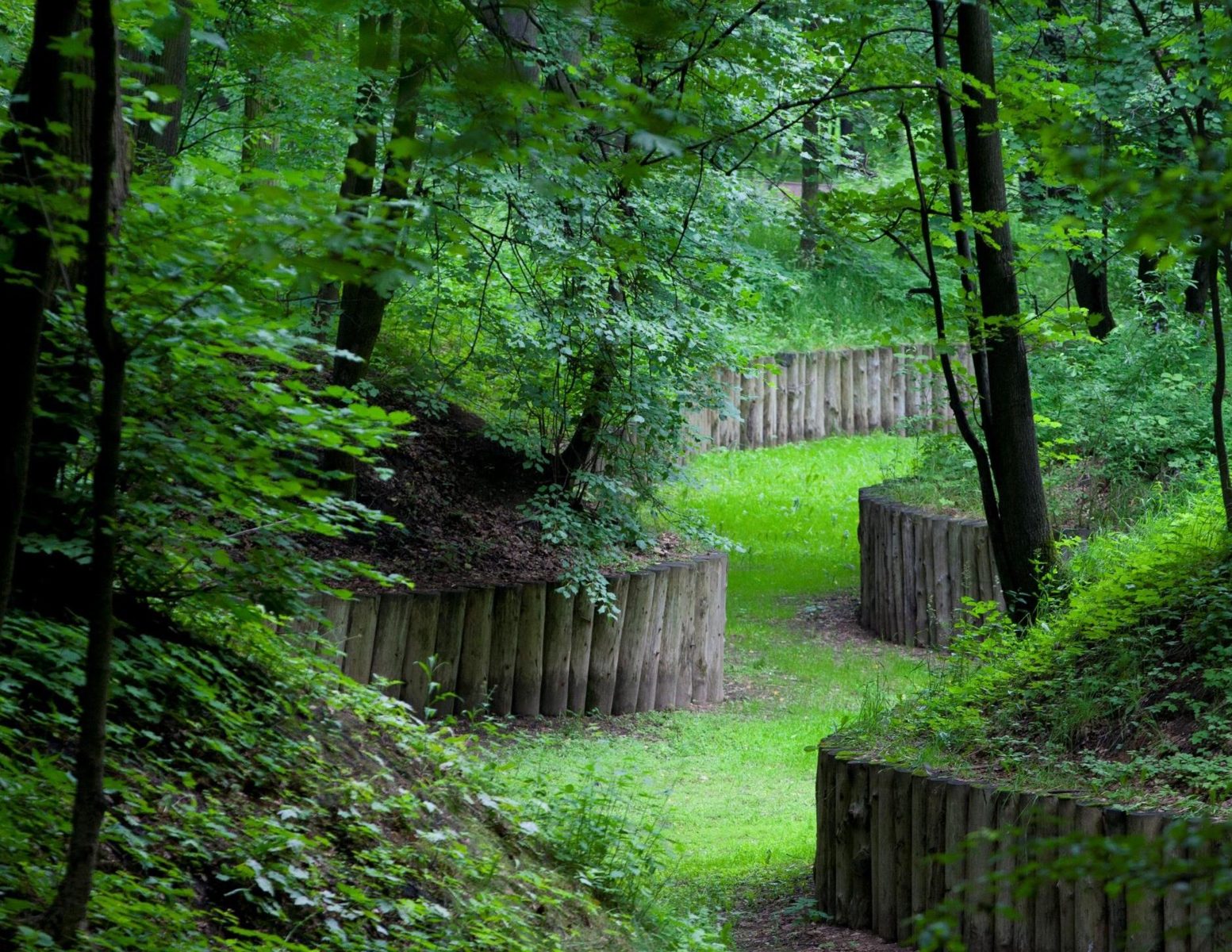 Квест «Среда обитания. По следам человека» в музее-заповеднике «Царицыно» – события на сайте «Московские Сезоны»