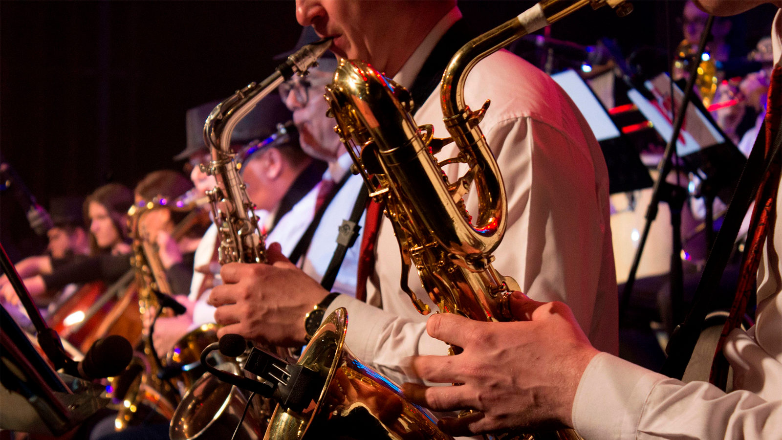 День города в зоне отдыха «Левобережье» – события на сайте «Московские Сезоны»