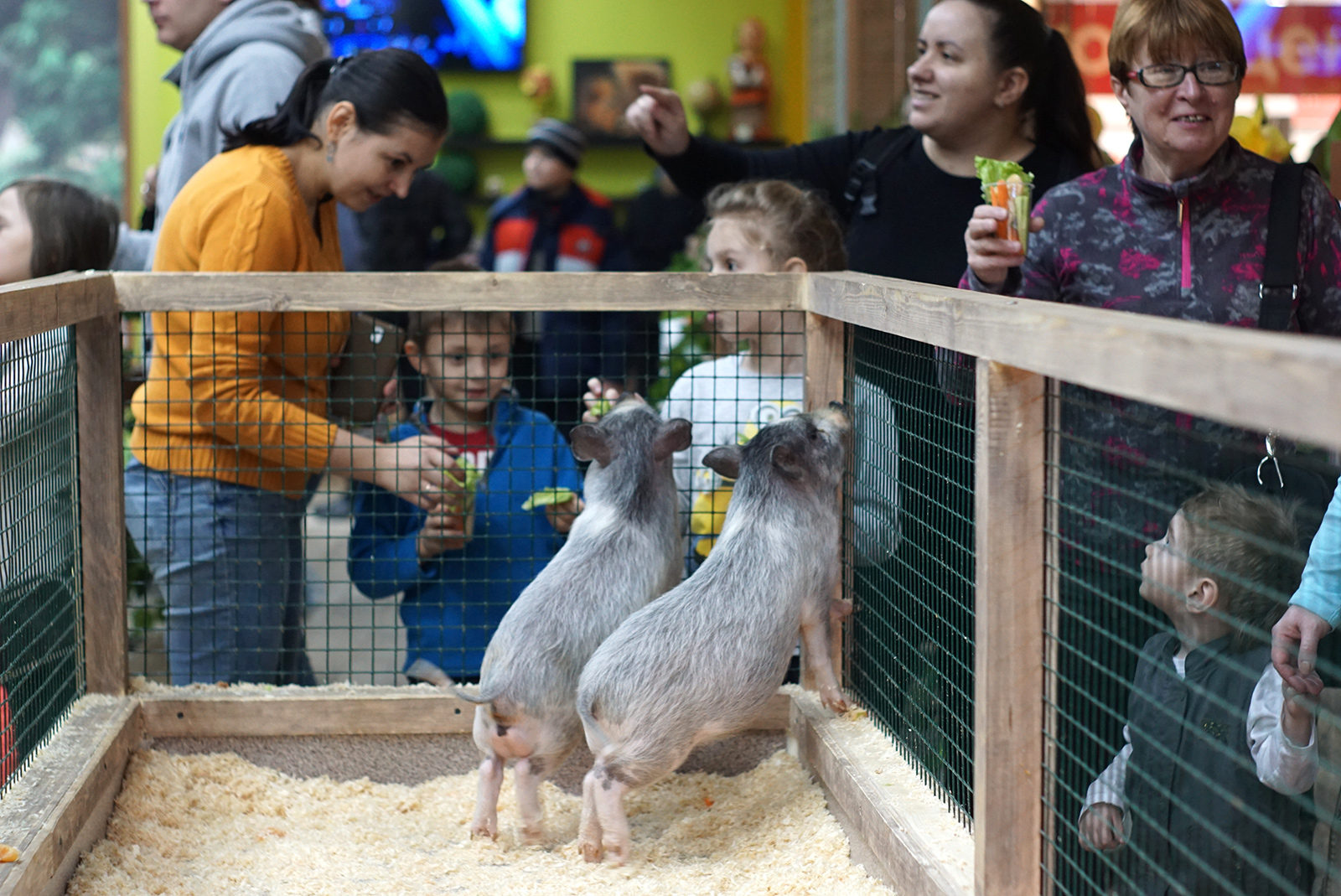 День города в культурном центре «Ватутинки» – события на сайте «Московские Сезоны»