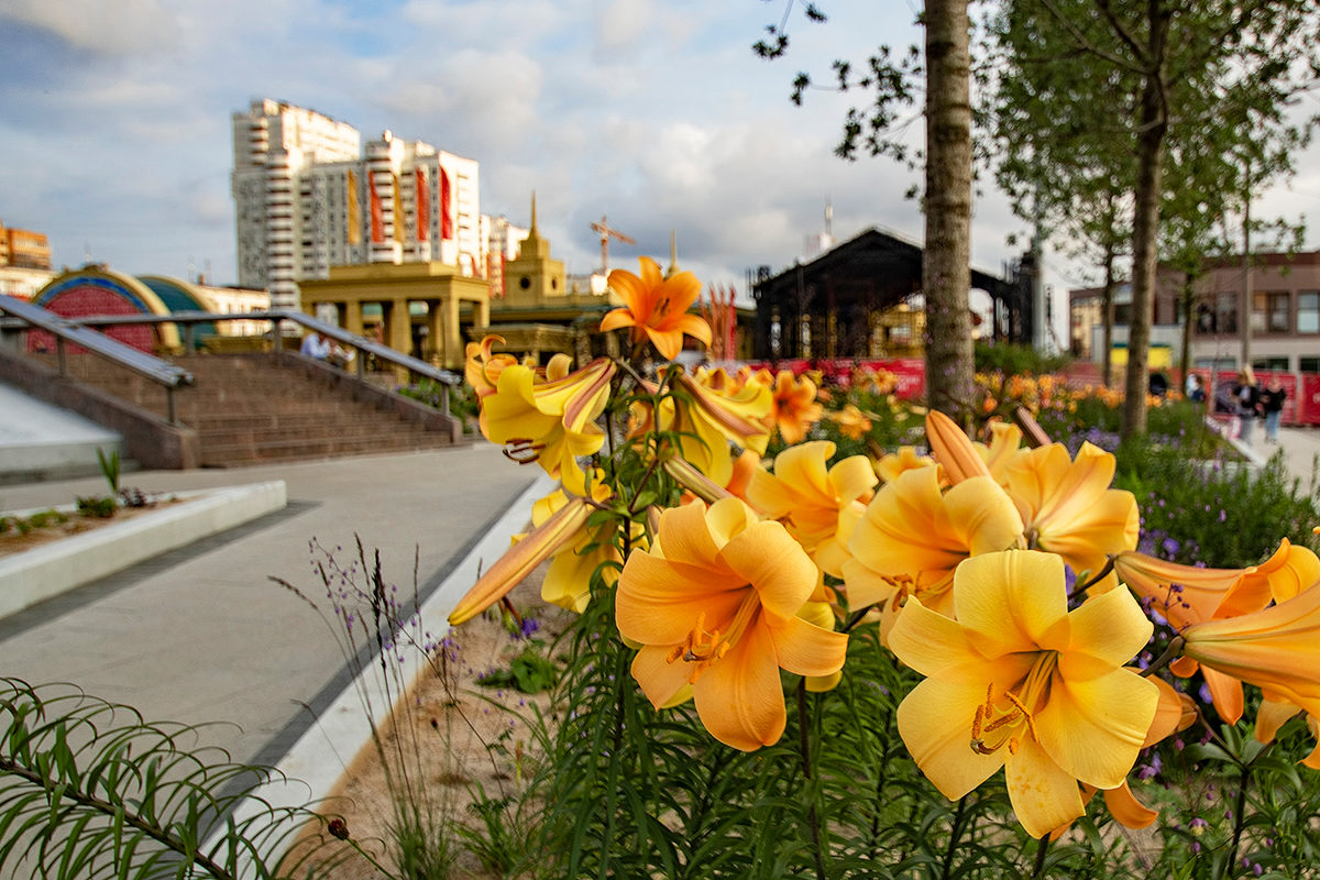 Спектакли, концерты и мозаичная студия на бульваре Дмитрия Донского – события на сайте «Московские Сезоны»