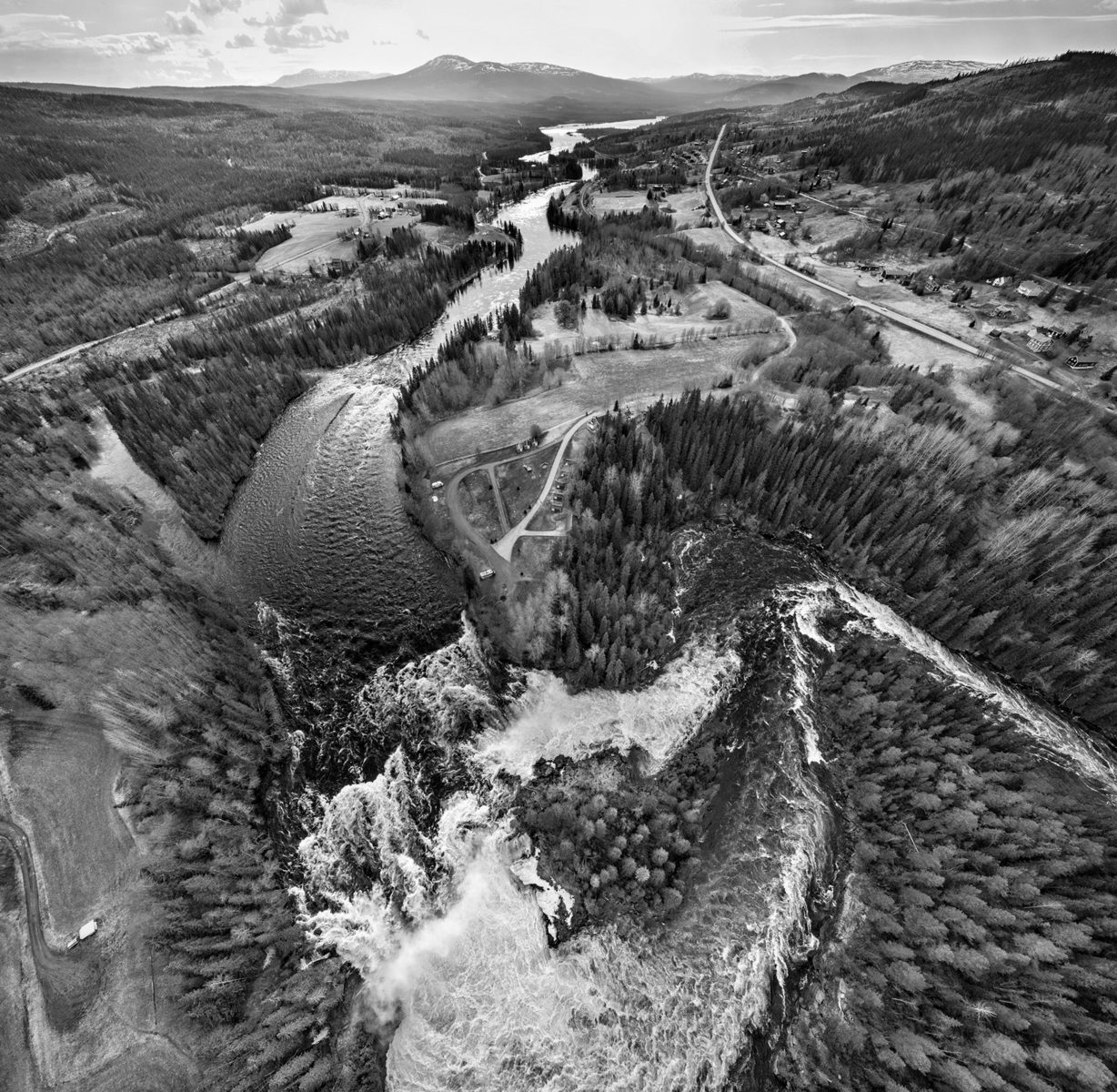 Проект «Ozero (school): как мне тебе рассказать, чтобы ты понял?» в Дарвиновском музее – события на сайте «Московские Сезоны»