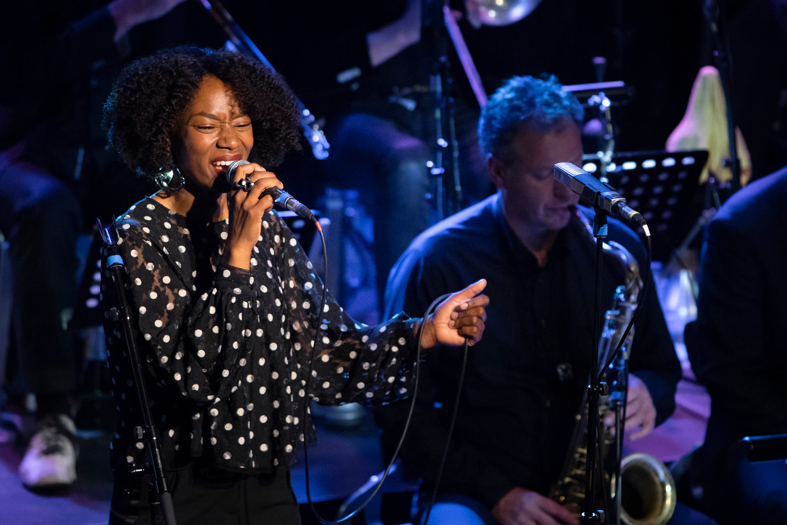 Джазовый оркестр Концертгебау в концертном зале «Зарядье» – события на сайте «Московские Сезоны»