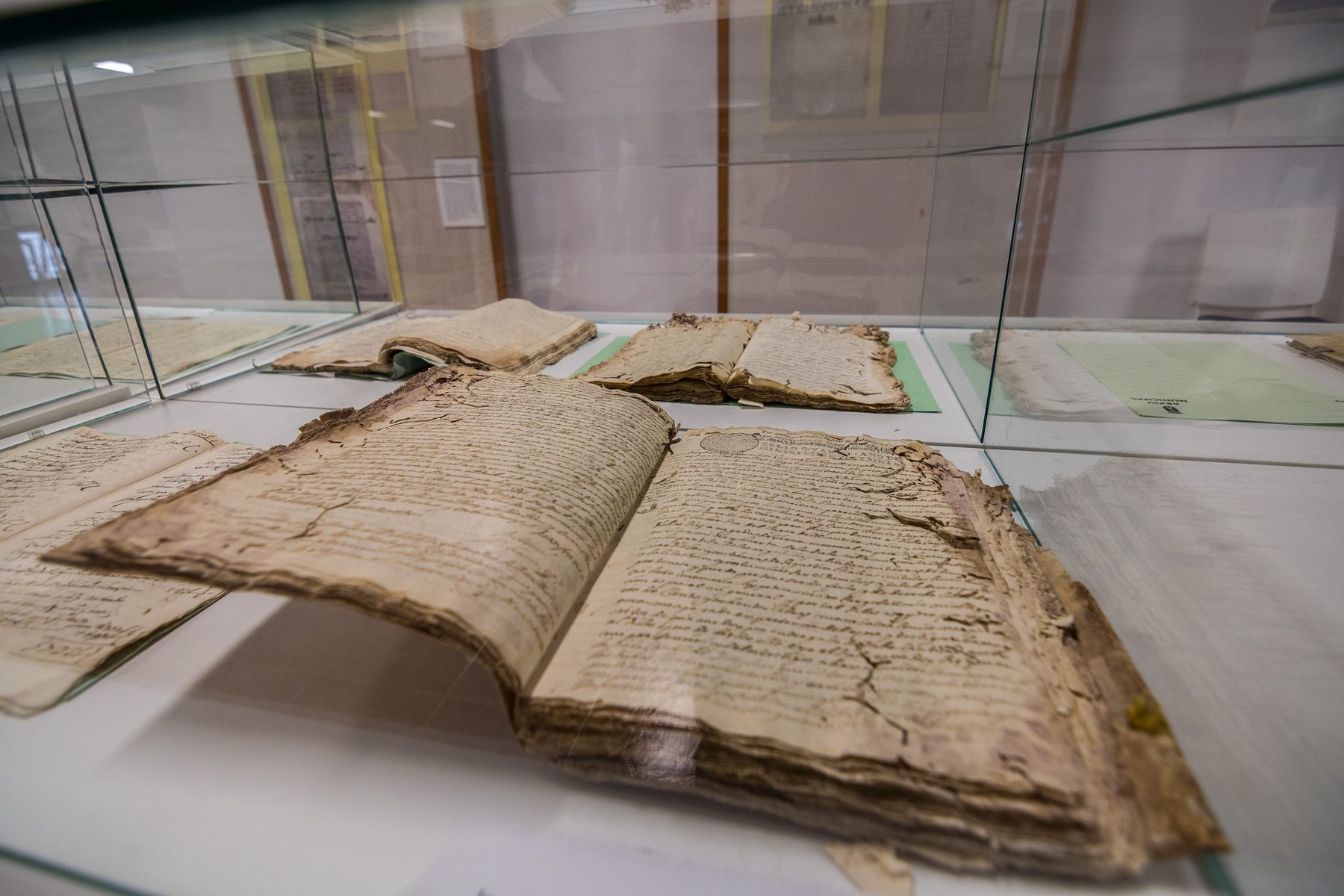 Курс повышения квалификации «Реставрация тряпичной бумаги: метод ручного долива бумажной массой» – события на сайте «Московские Сезоны»