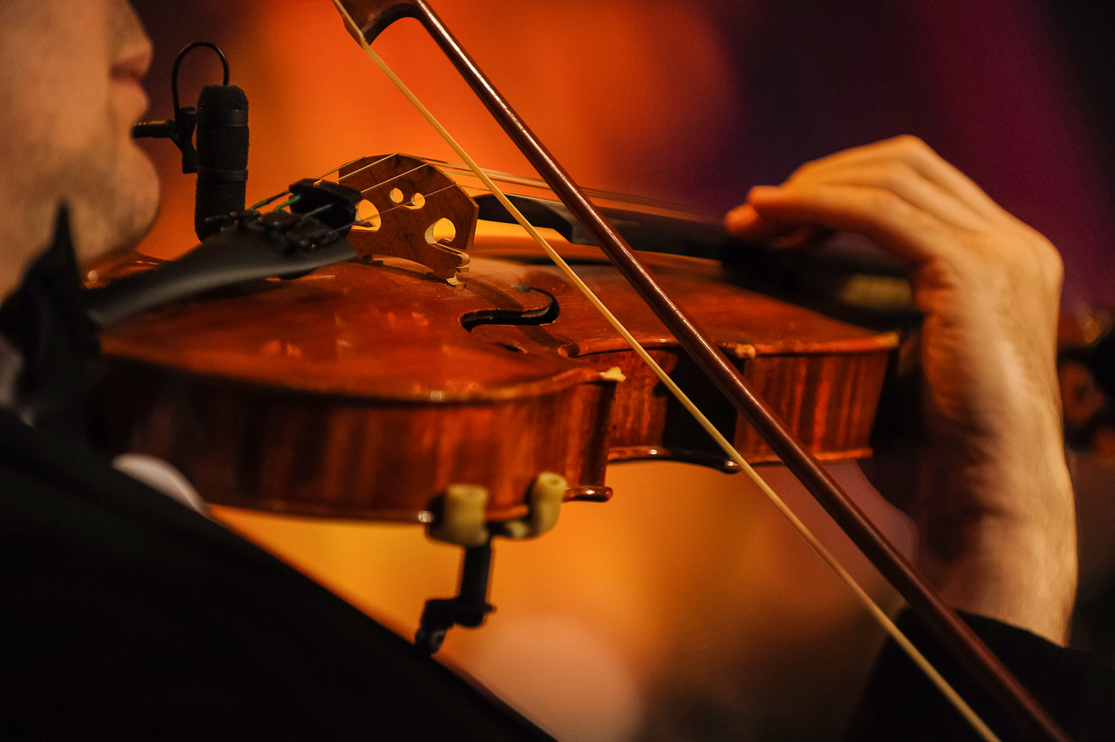 Концерт «Камерный дуэт» в Школе акварели Сергея Андрияки – события на сайте «Московские Сезоны»