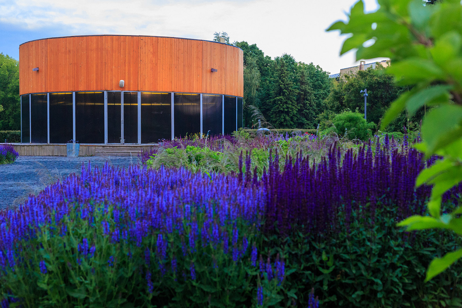 Мастер-класс «Тайны насекомых» в парке искусств «Музеон» – события на сайте «Московские Сезоны»