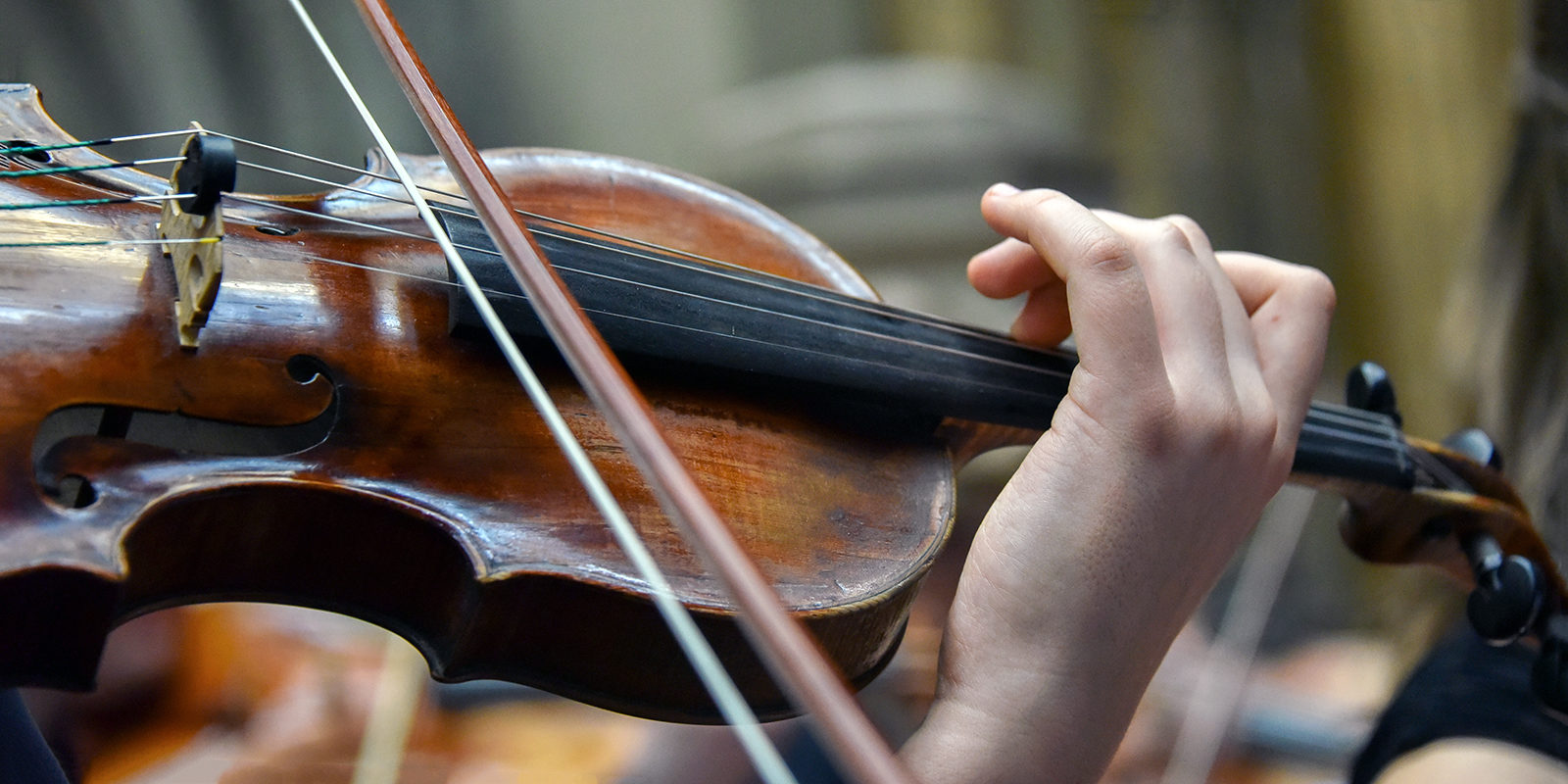 Концерт оркестра Musica Viva в «Зарядье» – события на сайте «Московские Сезоны»