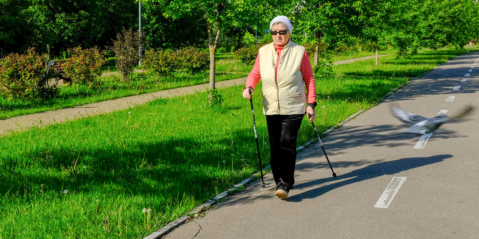 Спортивный фестиваль для участников проекта «Московское долголетие» в Зеленограде – события на сайте «Московские Сезоны»
