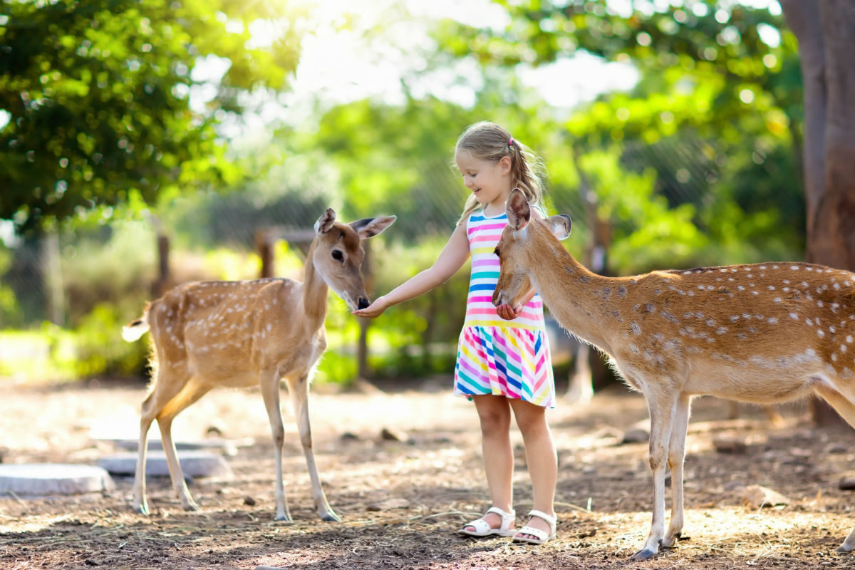 Выставка «Мы в ответе за тех, кого приручили» в Центр культуры и спорта – события на сайте «Московские Сезоны»