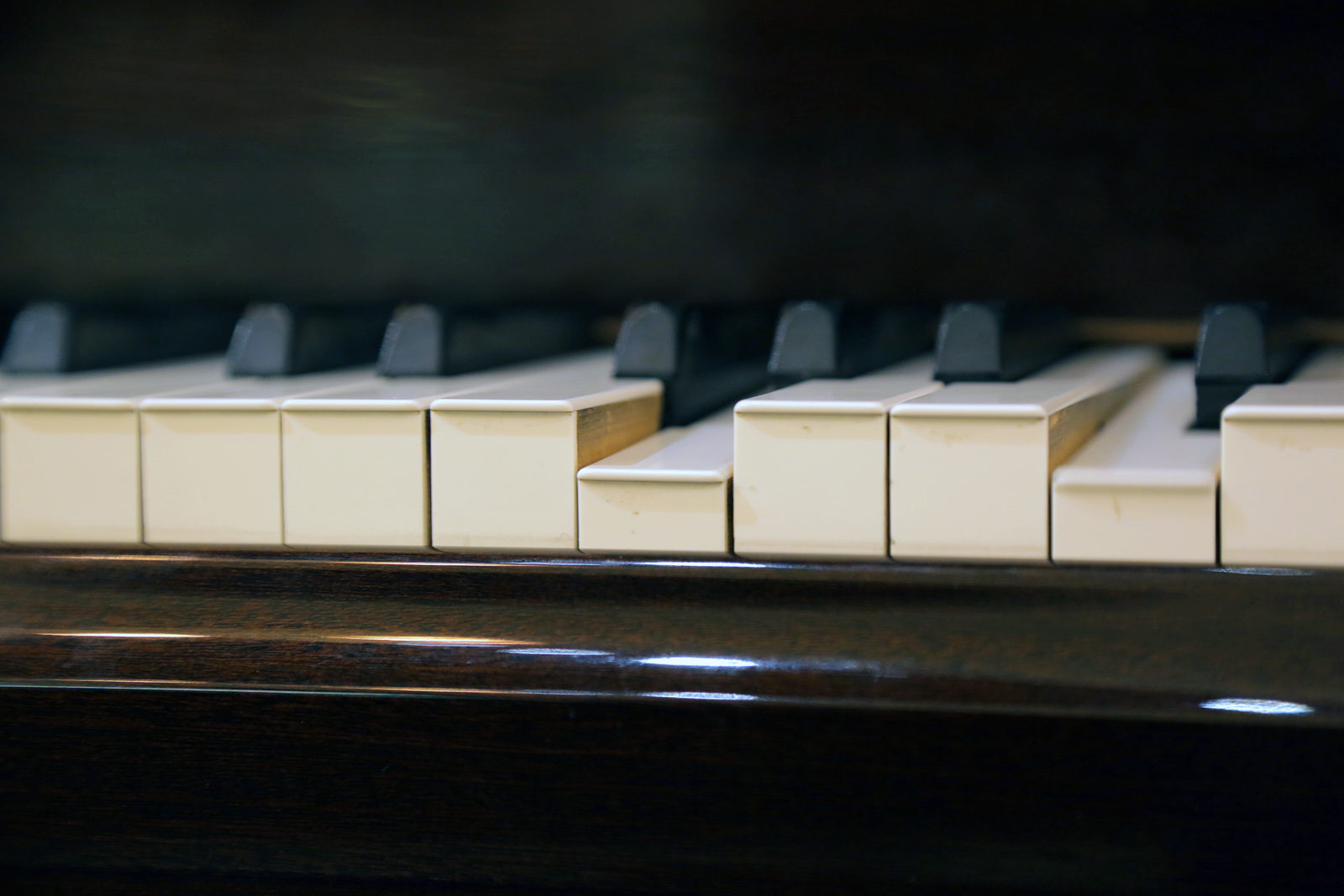 Концерт «Музыка меняет мир» в культурном центре «Лидер» – события на сайте «Московские Сезоны»