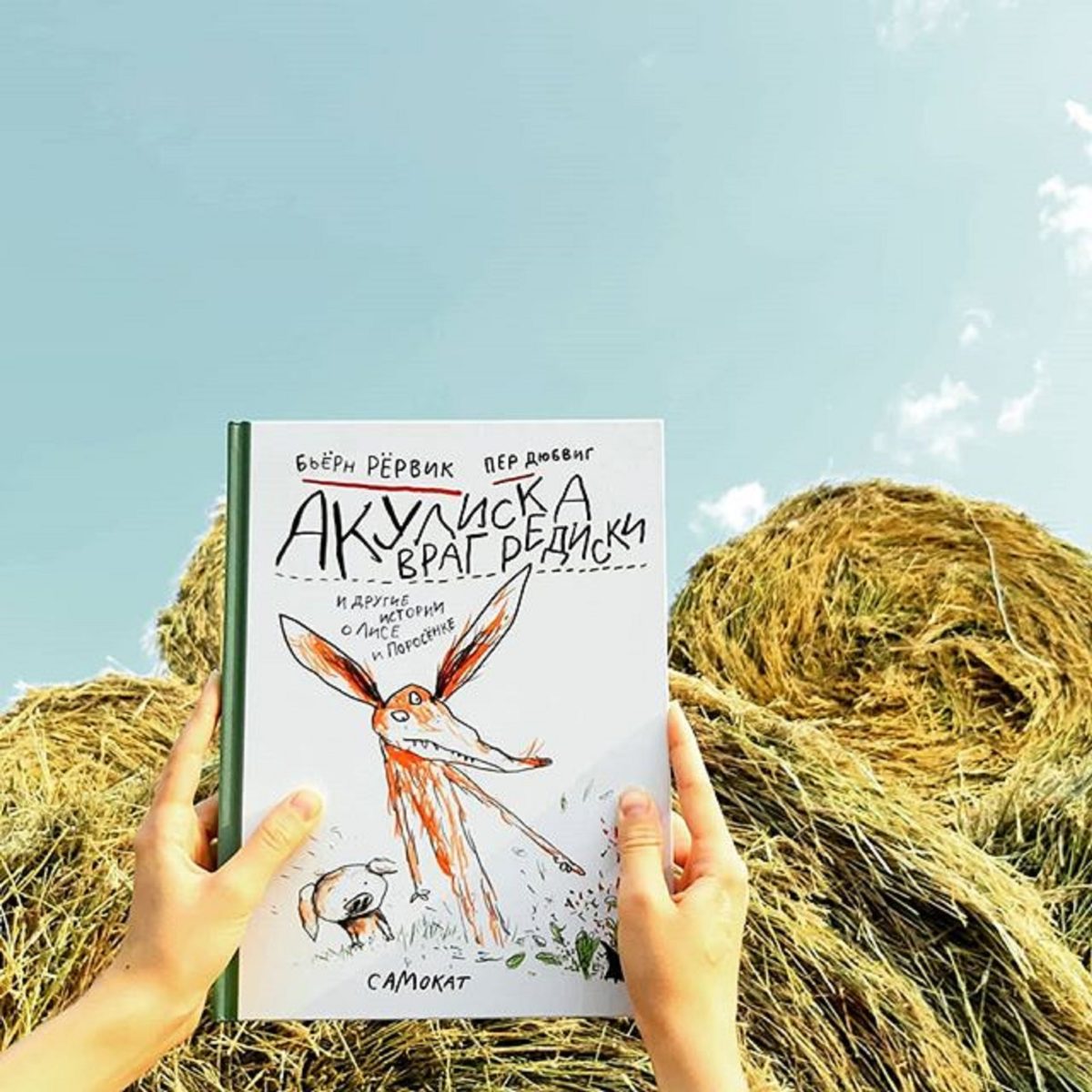 Библиомост с писателем Бьерном Ревриком в библиотеке № 34 – события на сайте «Московские Сезоны»