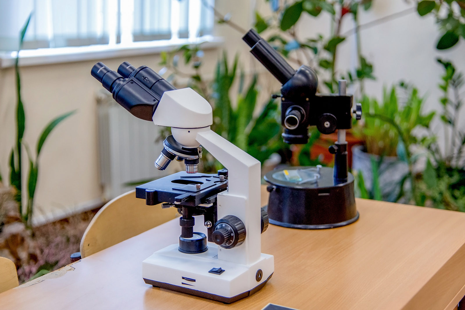 Встреча «Это вам не школа! Родительское собрание в Зарядье» – события на сайте «Московские Сезоны»