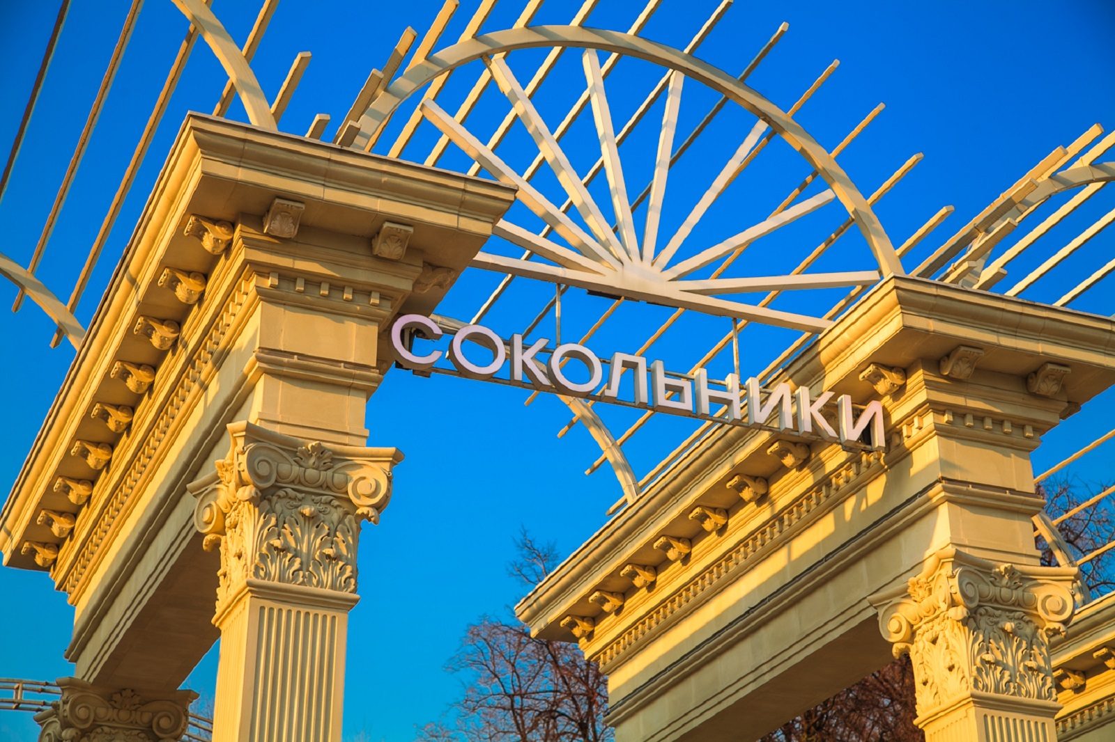 Оздоровительная гимнастика ушу в «Сокольниках» – события на сайте «Московские Сезоны»