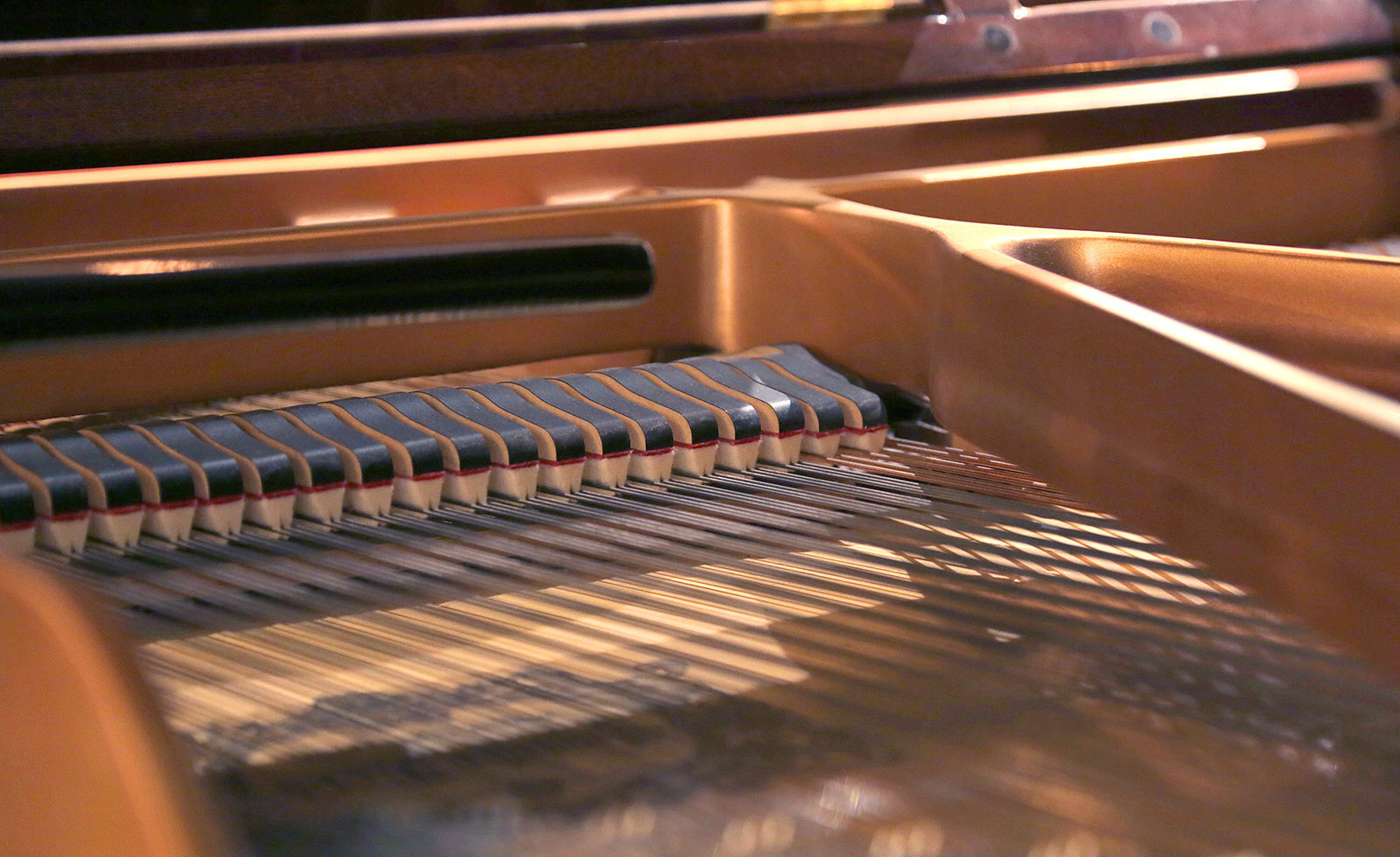 Концерт «Унылая пора, очей очарованье» в библиотеке № 186 – события на сайте «Московские Сезоны»