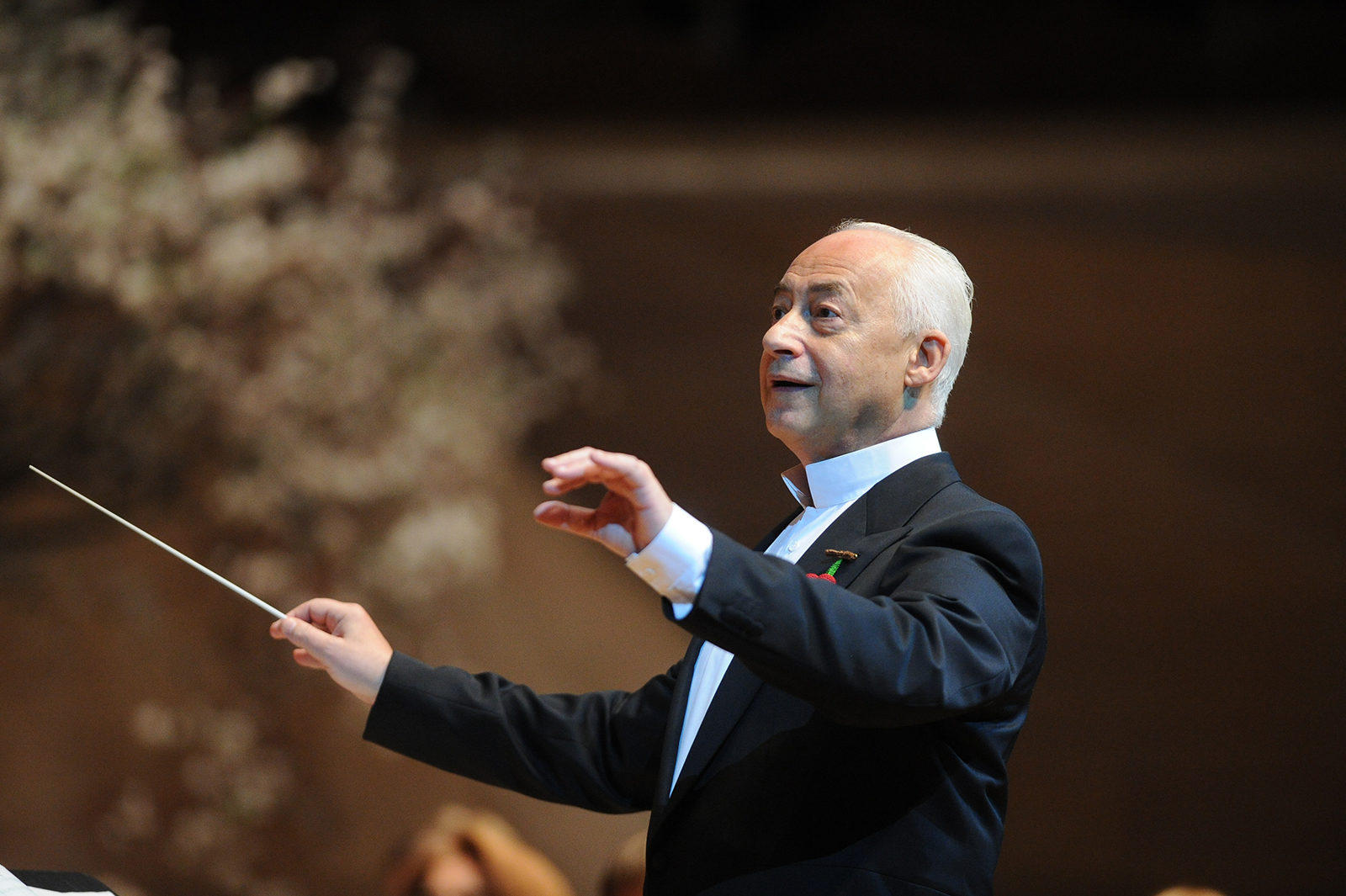 Концерт абонемента AmaDeus в Доме музыки – события на сайте «Московские Сезоны»