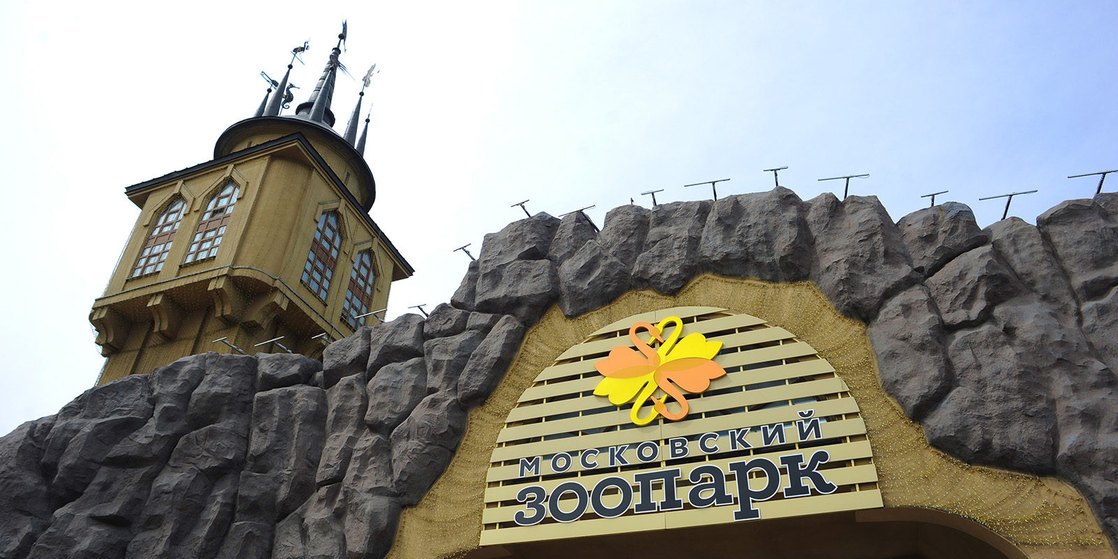 «Путешествие по “Книге джунглей» в Московском зоопарке – события на сайте «Московские Сезоны»