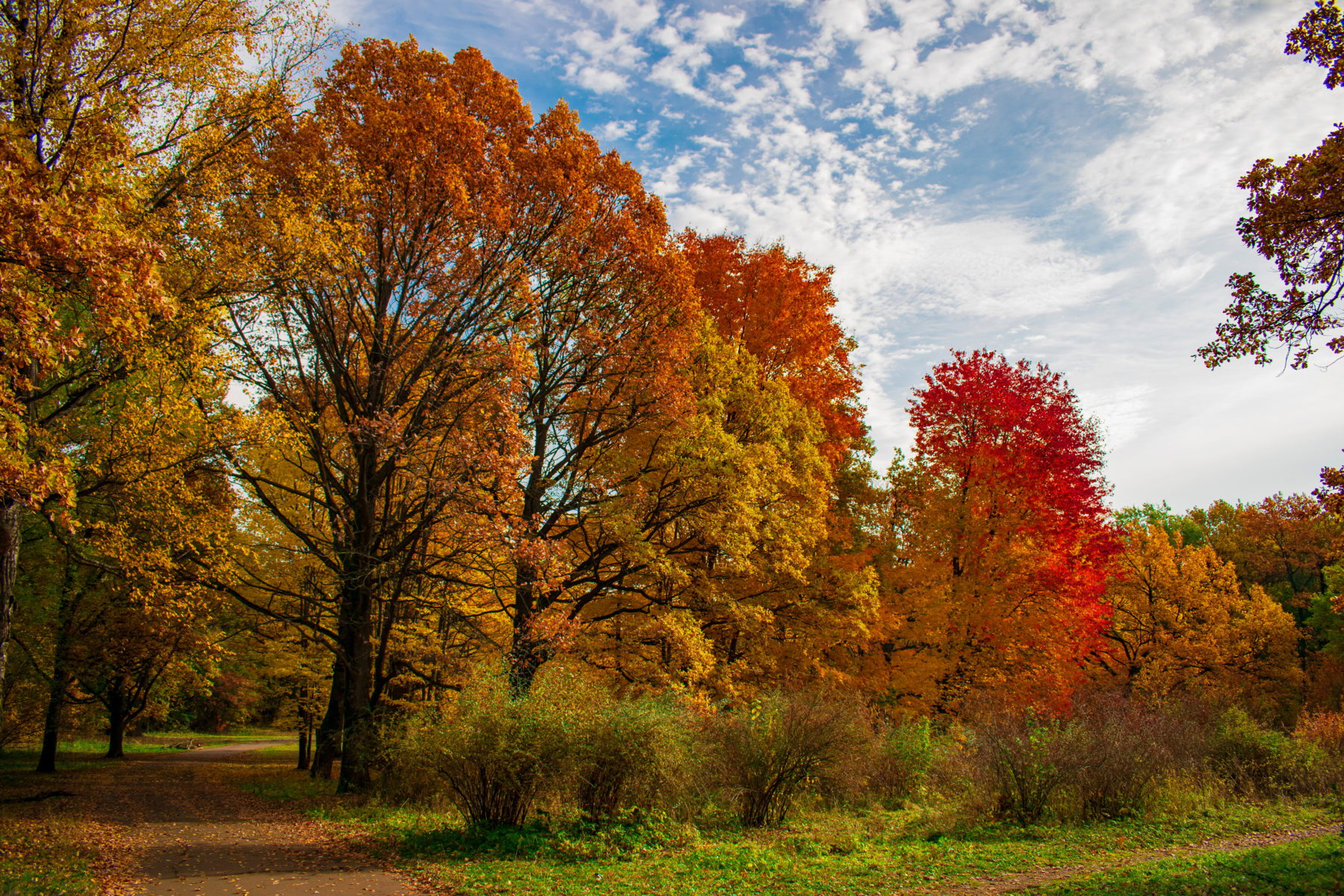 Фотопрогулка с Екатериной Сергеевой и ДК «Кленово» – события на сайте «Московские Сезоны»