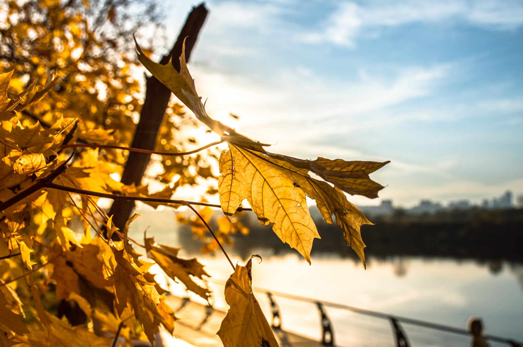 Музыкальная композиция «Осенние этюды» в ТЦСО «Восточное Измайлово» – события на сайте «Московские Сезоны»