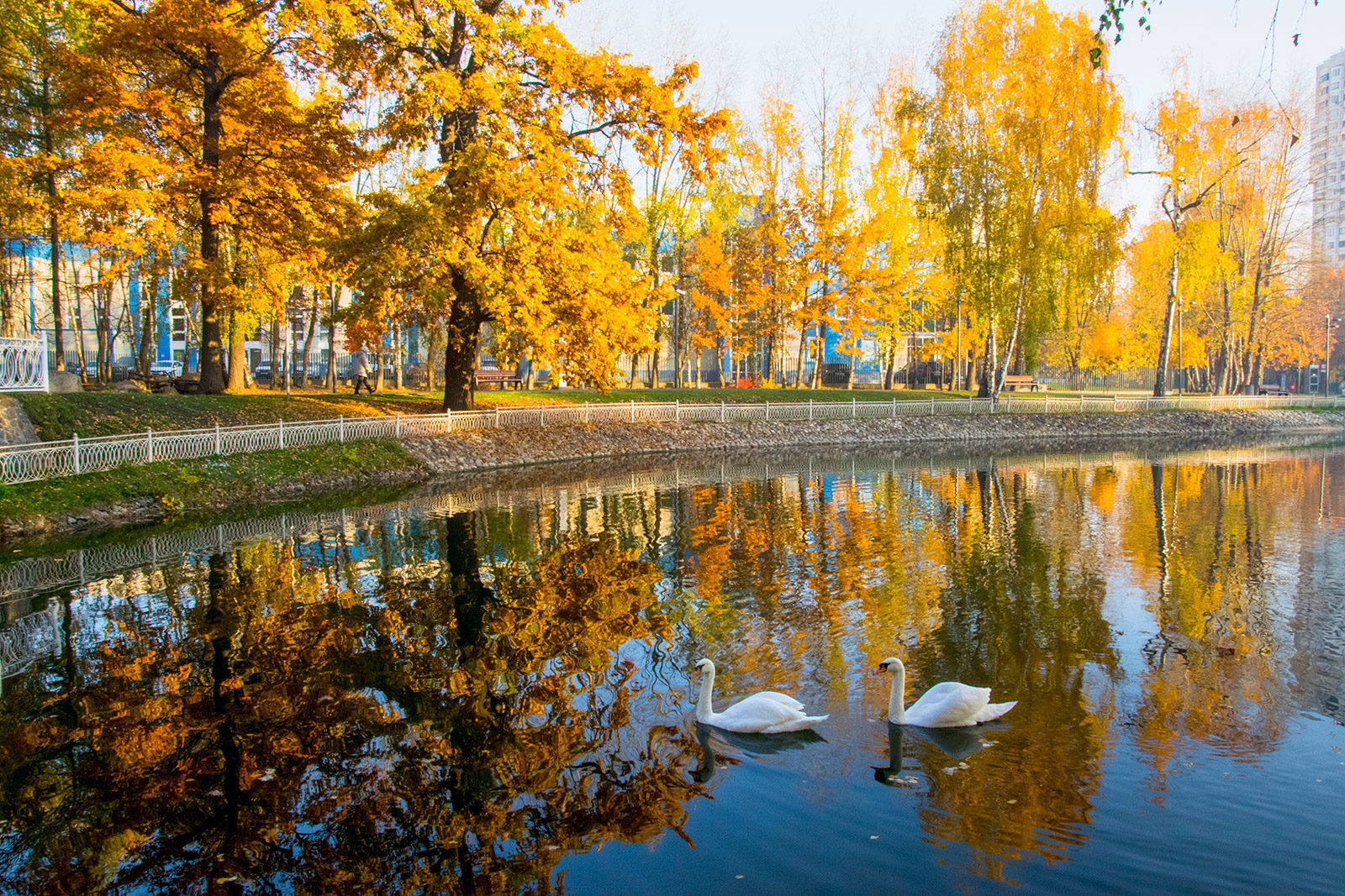 Световое шоу в Лианозовском парке – события на сайте «Московские Сезоны»