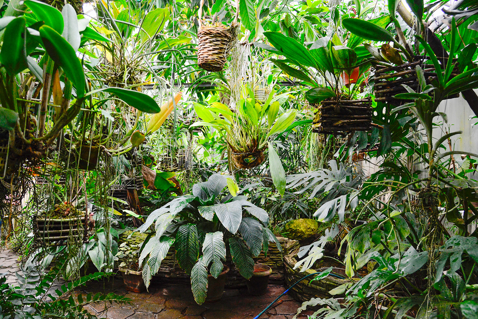 Как защитить растения: встреча в парке «Зарядье» – события на сайте «Московские Сезоны»