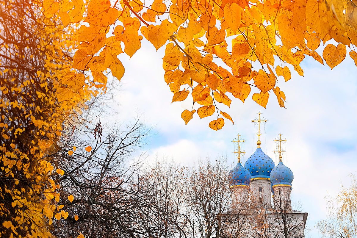 Мастер-класс «Аппликация из листьев» в Музее русского импрессионизма – события на сайте «Московские Сезоны»