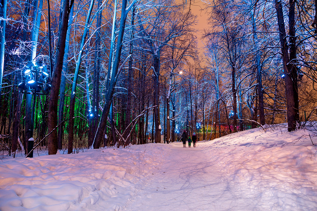 Мастер-класс «Рисуем зиму» в Музее русского импрессионизма – события на сайте «Московские Сезоны»