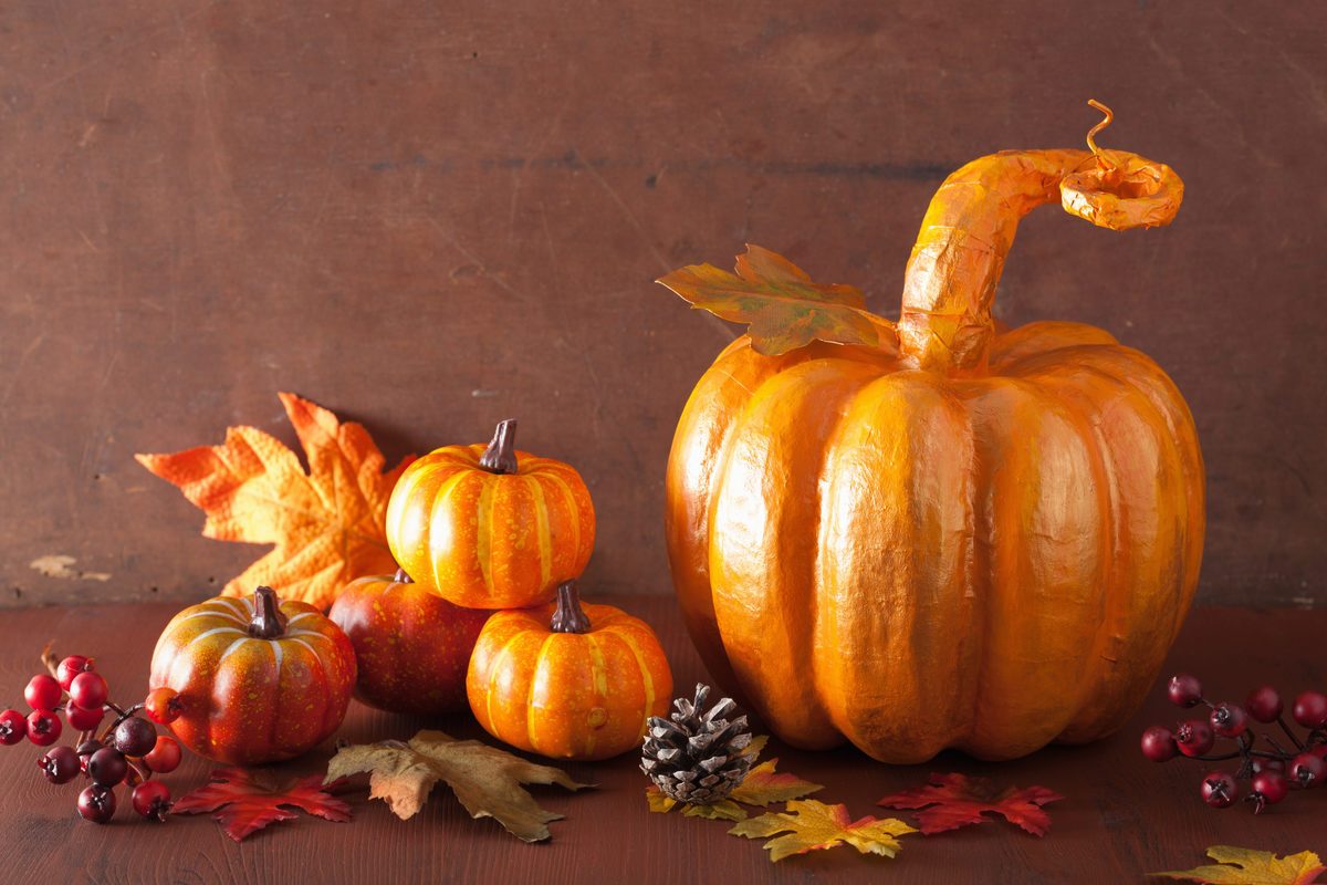 Мастер-класс «Тёплая тыковка» в ТРЦ «Гагаринский» – события на сайте «Московские Сезоны»