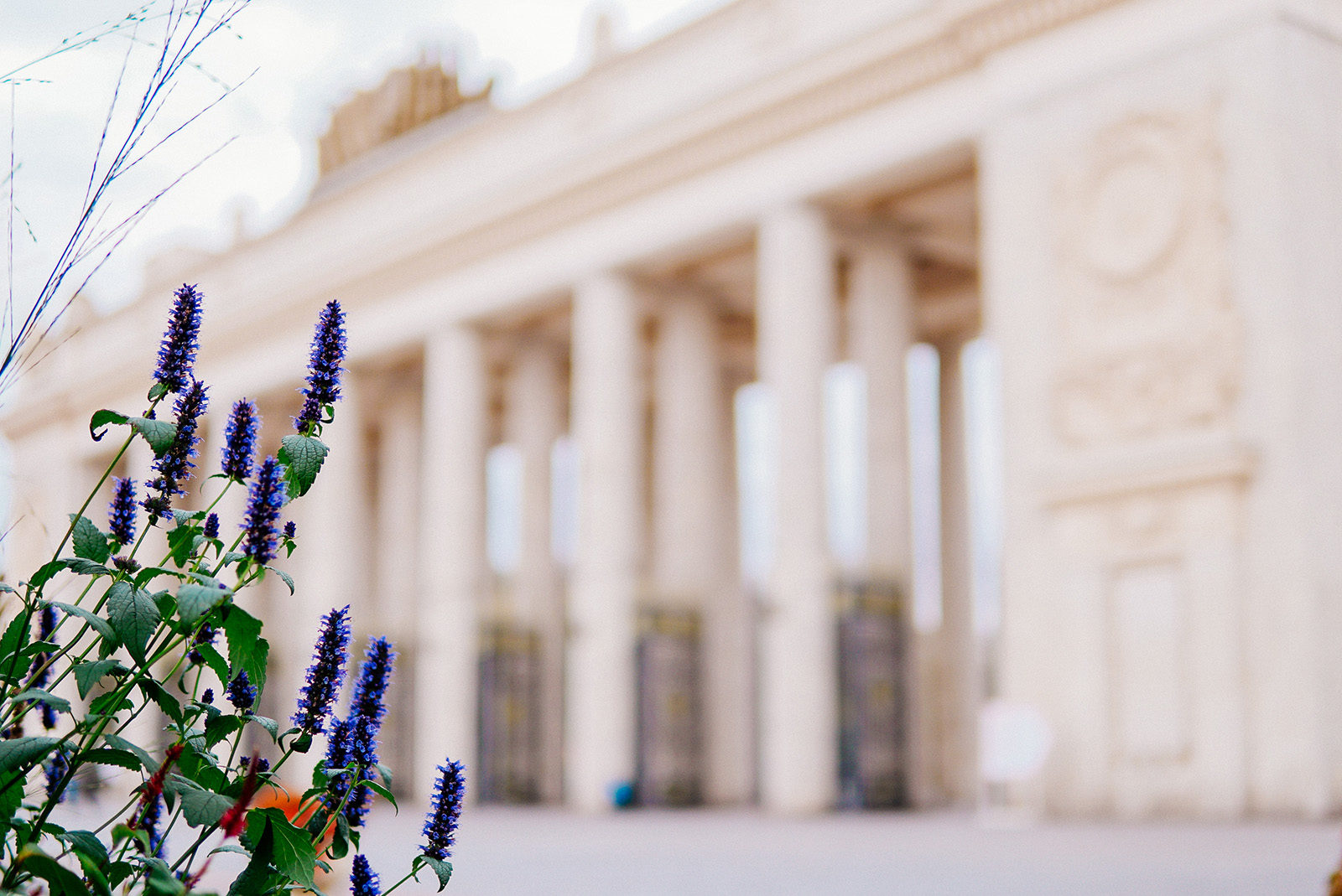 Спектакль «Шардам» в Парке Горького – события на сайте «Московские Сезоны»