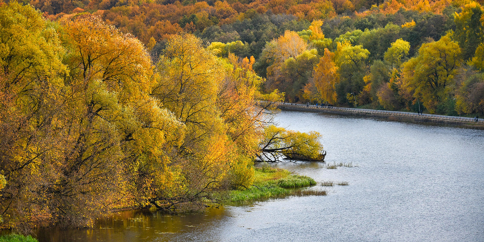 Выставка «Пейзажи России» в библиотеке № 108 – события на сайте «Московские Сезоны»