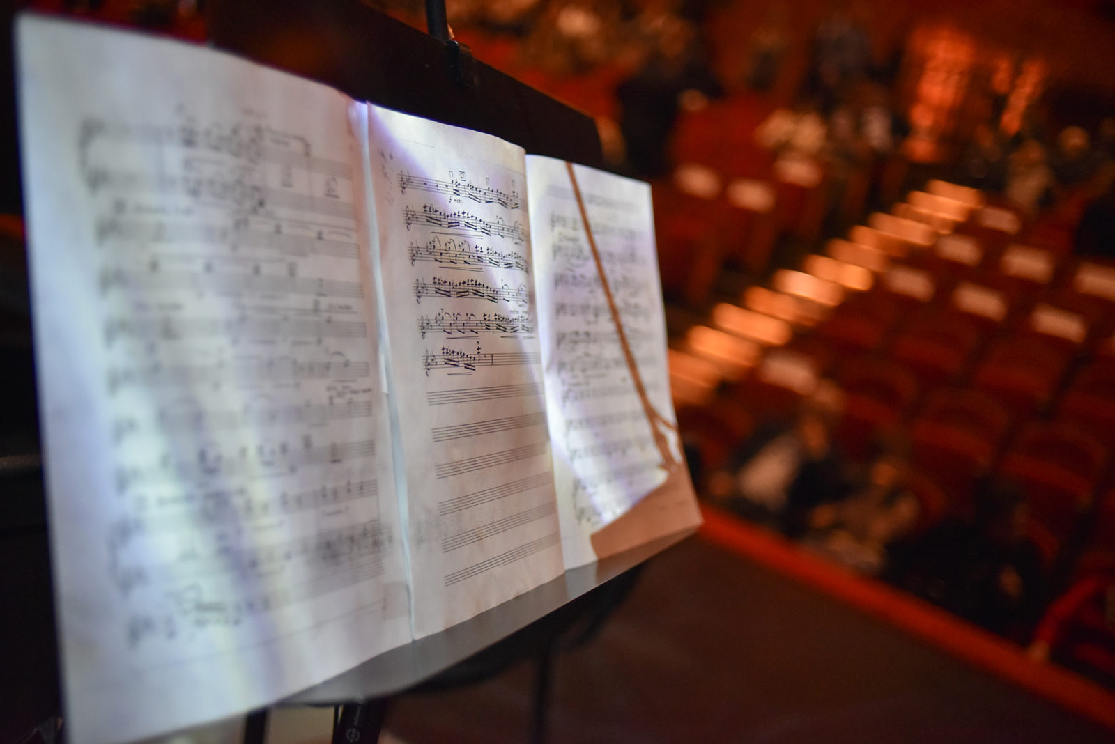 Концерт «Пусть всем правит муза» в библиотеке № 134 – события на сайте «Московские Сезоны»